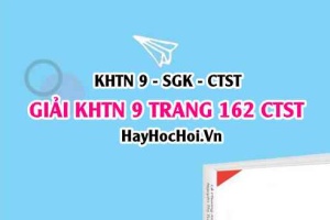 Giải KHTN 9 trang 162 Chân trời sáng tạo SGK
